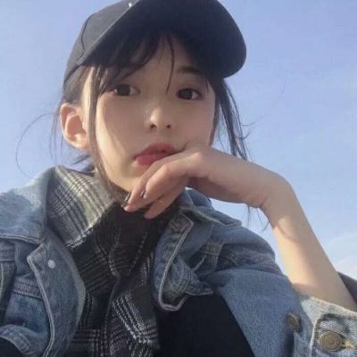 白猫计划台服最新版apk下载
